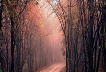 雷速体育官网：热刺又翻车 客场不敌伯恩茅斯.